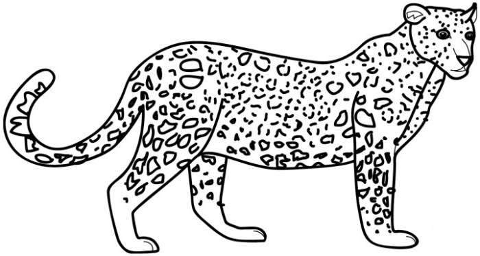 Leopard Coloring Pages - Get Coloring Pages