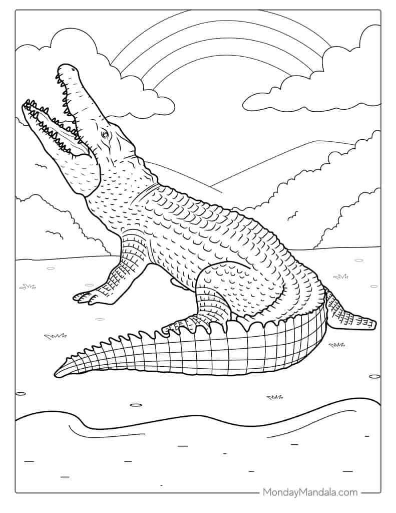 25 Crocodile Coloring Pages (Free PDF Printables)