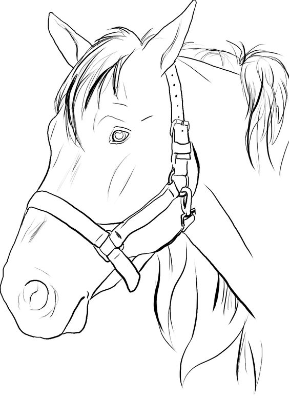 Horse Head Coloring Page