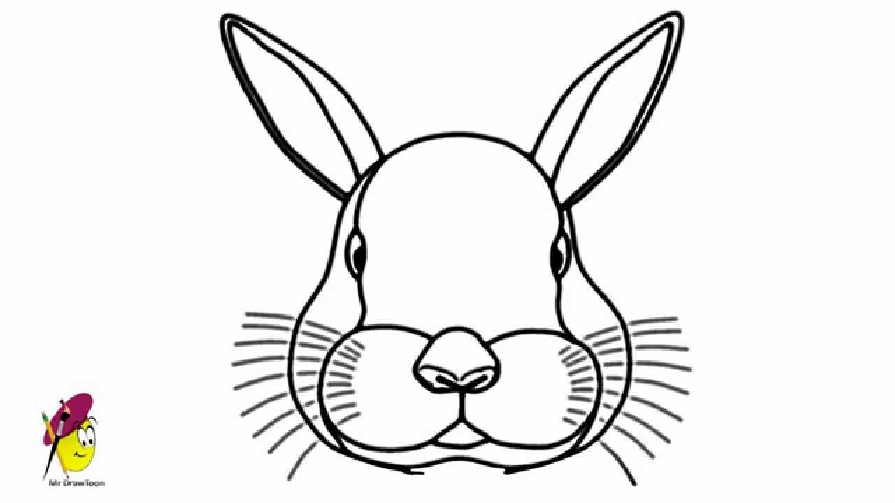 Bunny - Drawing - How to draw a bunny face - YouTube