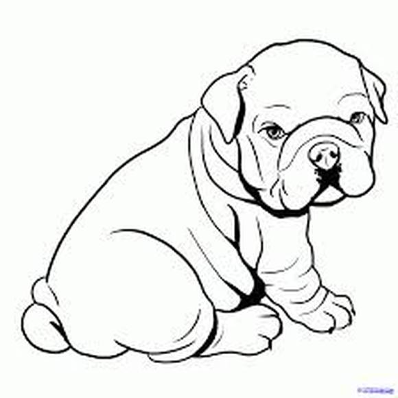 English Bulldog Coloring Pages - Get ...