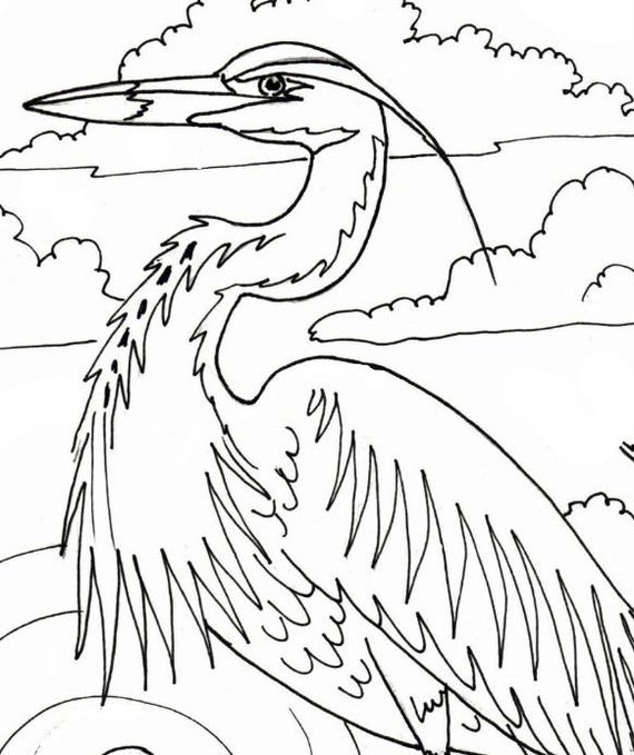 Great Blue Heron Embroidery Pattern Coloring Page - Coloring Nation