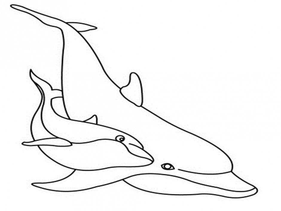 Bottlenose Dolphin Coloring Pages Coloring Pages Of Bottlenose 