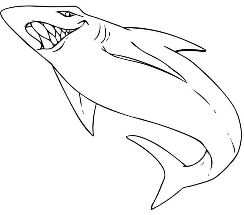 Printable-Shark-Coloring-Pages-791×1024 | COLORING WS