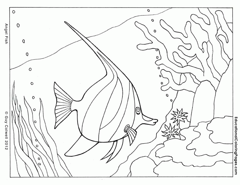 printable coloring pages for free | Animal Coloring Pages for Kids