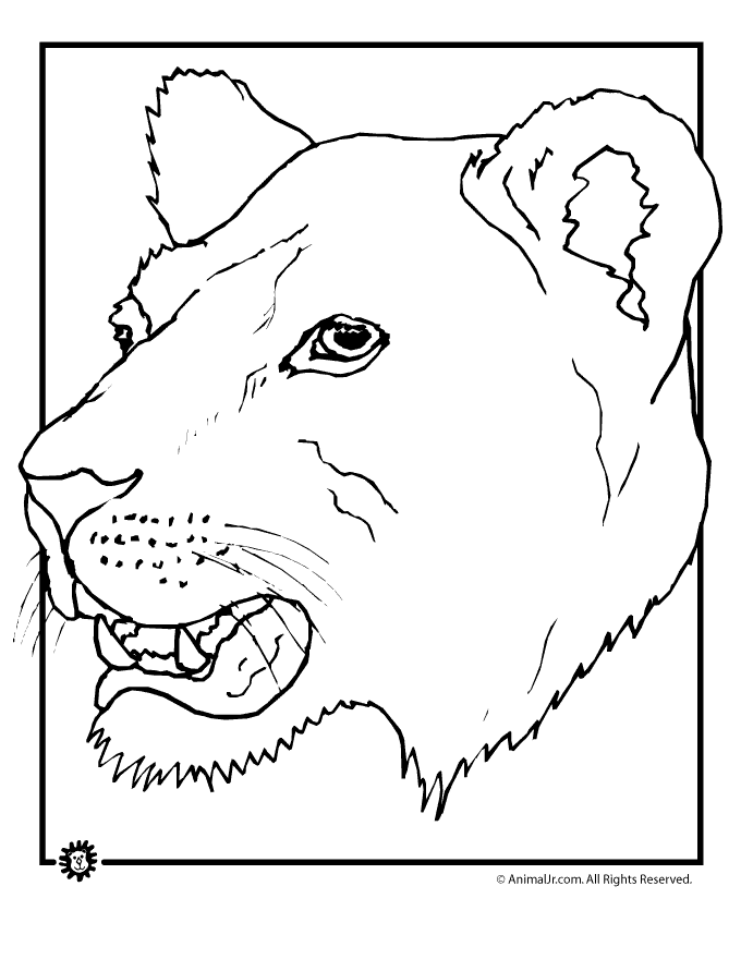 animal faces Colouring Pages (page 2)