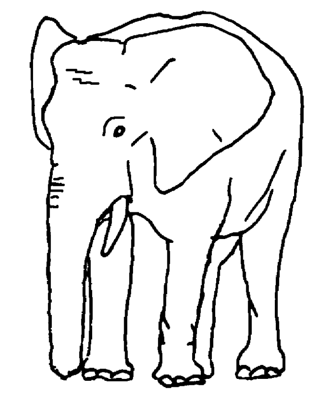 African and Indian elephants Coloring Pages | Elephant Coloring 
