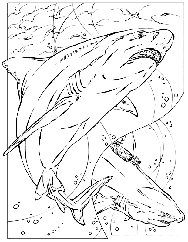 Shark Coloring Pages (17) - Coloring Kids