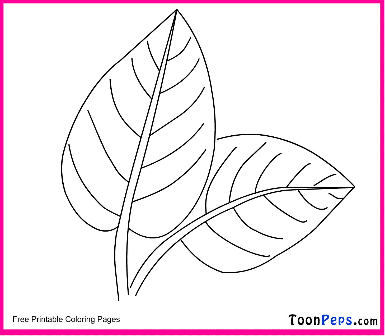 Toonpeps : Free Printable Leaf coloring pages for kids