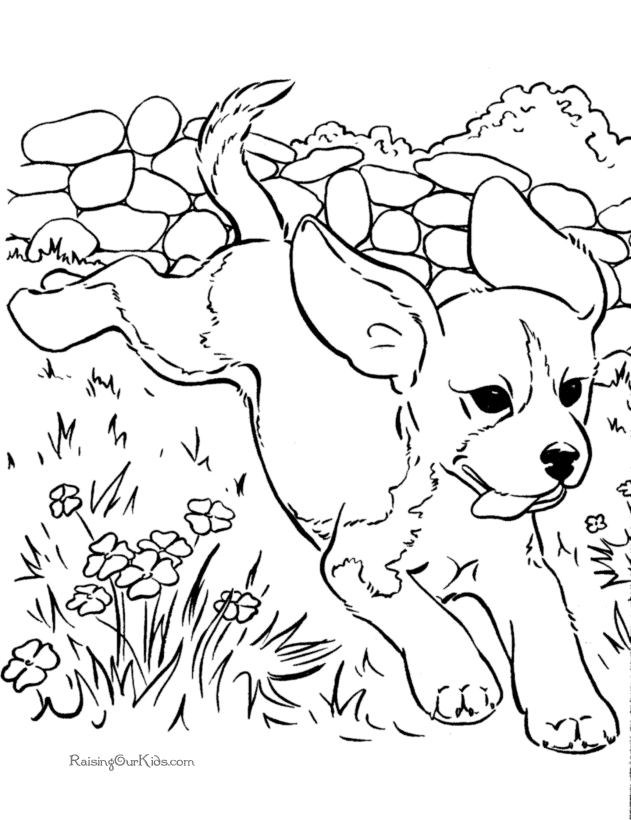 baby animal coloring pages to print – 1169×826 Coloring picture 