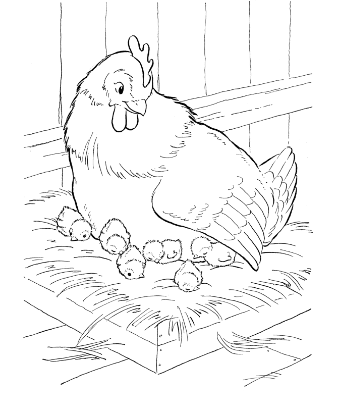 Farm Animal Coloring Pages | Mother hen sitting on her nest 