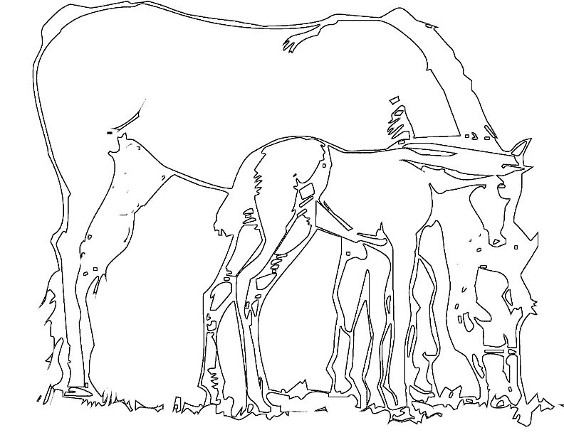 horse coloring page animals town color sheet