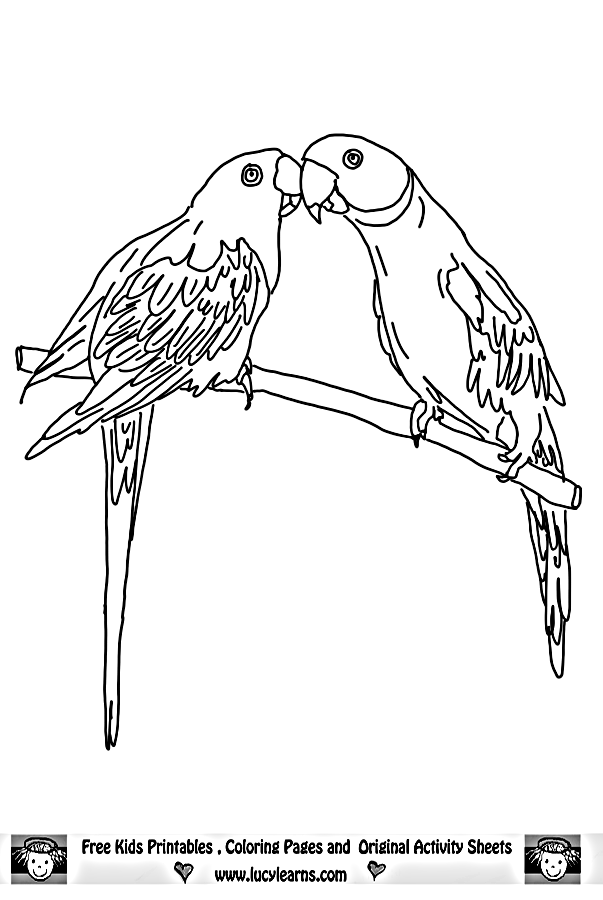 Parrot Coloring Page,Lucy Learns Free Parrot Coloring Sheets to 