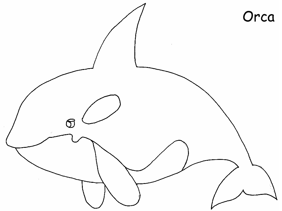 Ocean Orca Animals Coloring Pages & Coloring Book