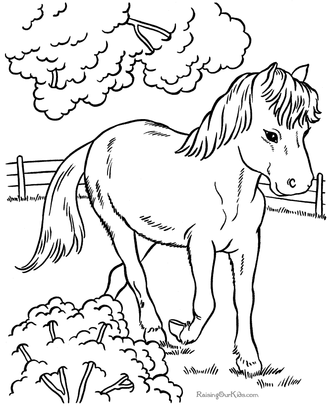 Horses to print and color 022