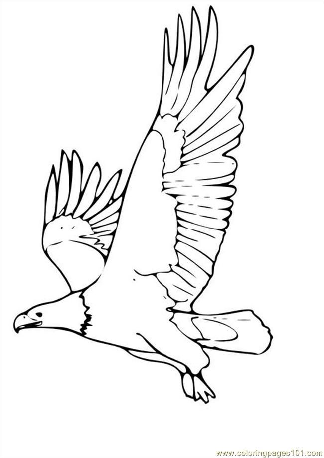 Coloring Pages Tures Pages Photo Eagle P (Birds > Eagle) - free 