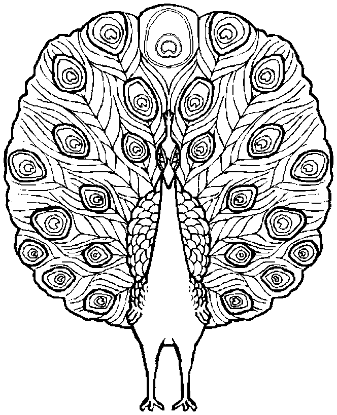 Complicated Coloring Pages For Adults | Animal Coloring Pages 