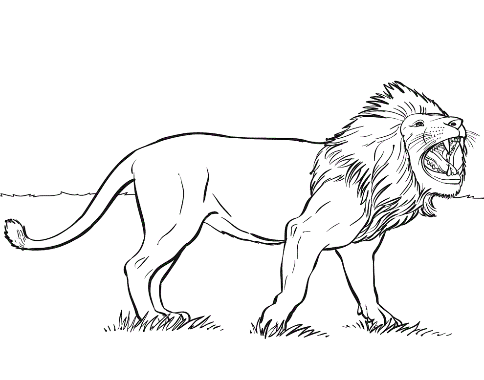 lion coloring page : Printable Coloring Sheet ~ Anbu Coloring Page : .