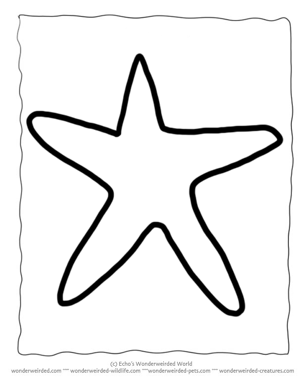 Printable Starfish Template, Echo's Animal Outlines for Ocean Crafts