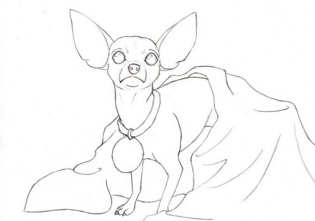chihuahua-dog-coloring-pages-free-printable-430675 « Coloring ...