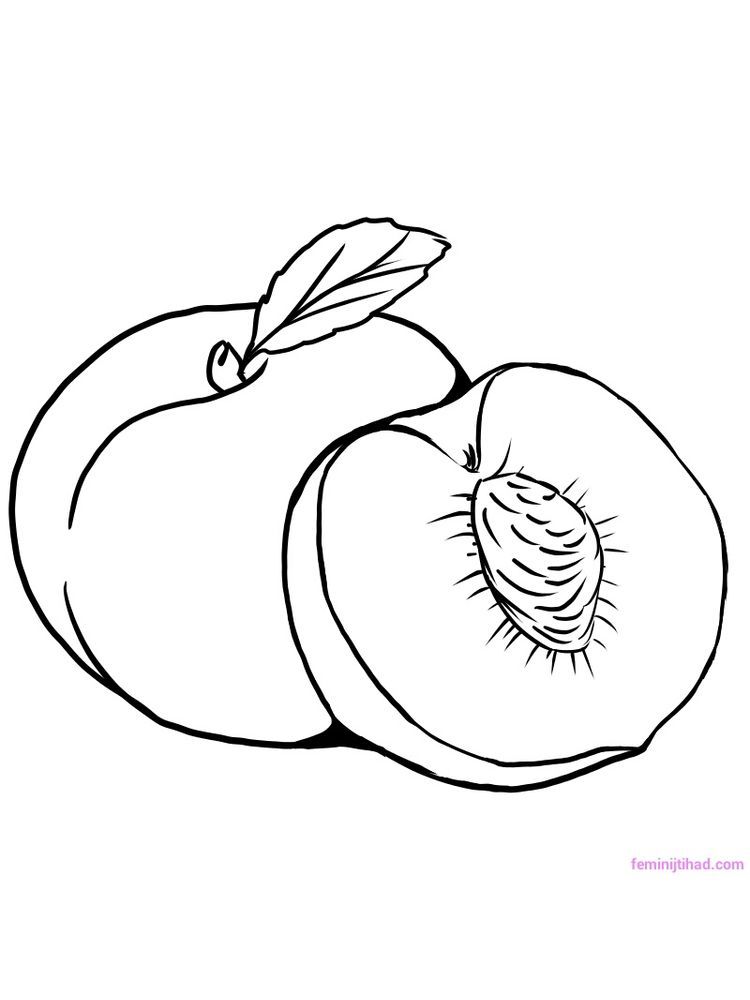 peach coloring page download free. Peach or is a fruiting plant from the  Rosaceae family. Peaches have … | Fruit coloring pages, Coloring pages,  Free coloring pages