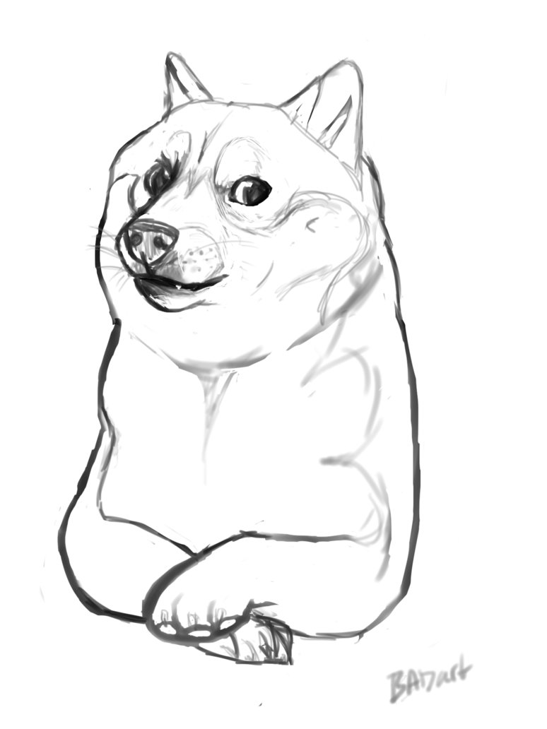 Doge Drawing at GetDrawings | Free download