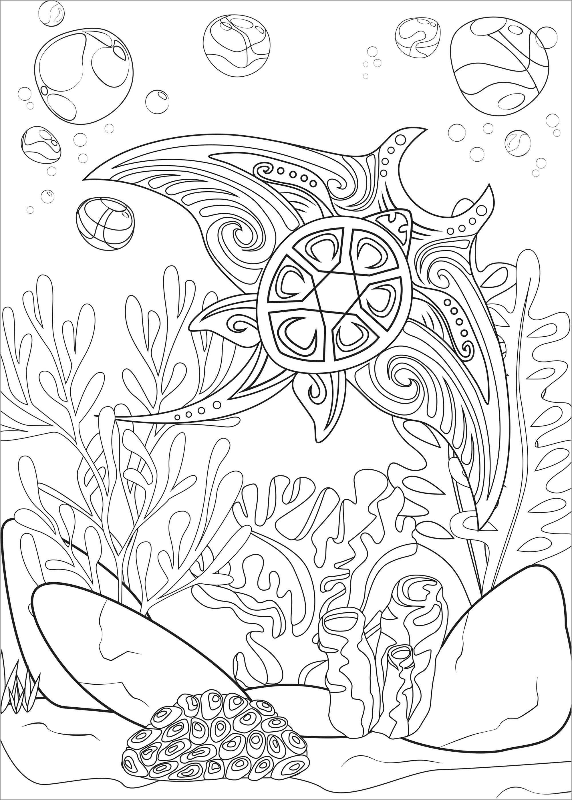 Zentangle Ray Coloring Page for Adults - ColoringBay