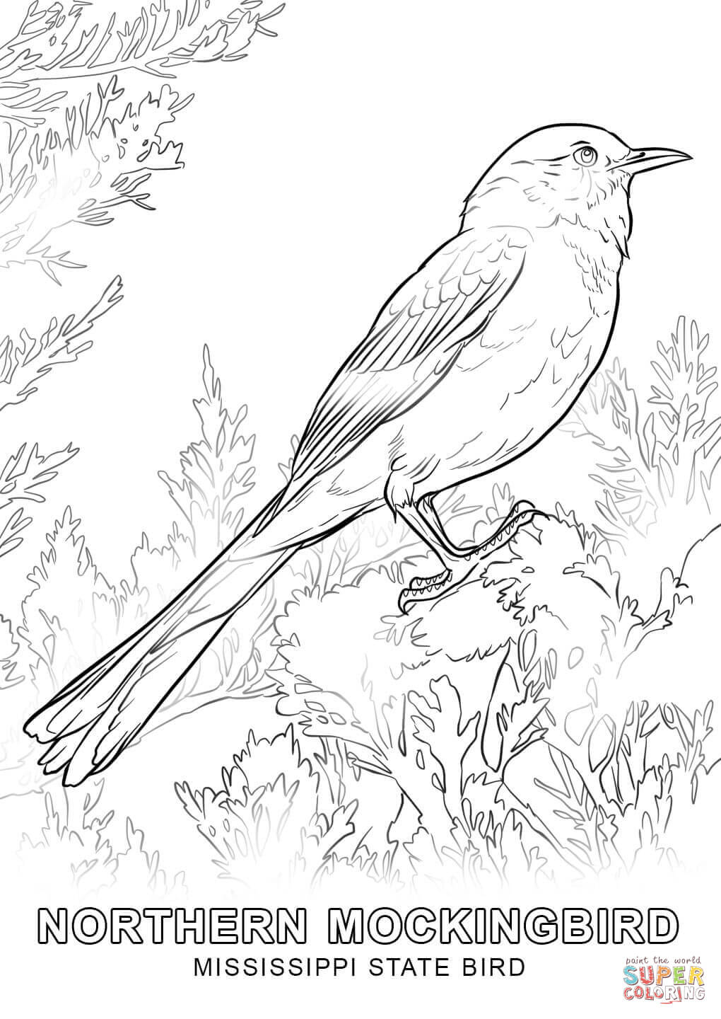 Mississippi State Bird coloring page | Free Printable Coloring Pages