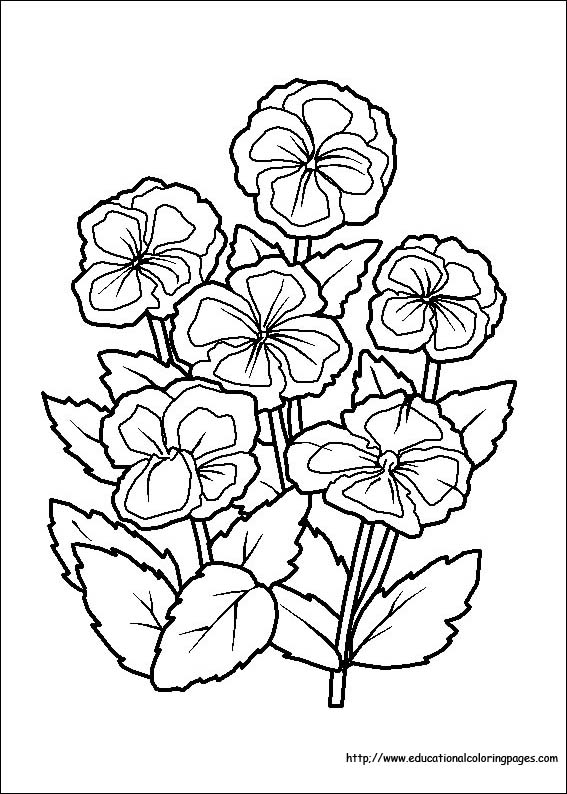 Flower Coloring Coloring Pages free For Kids