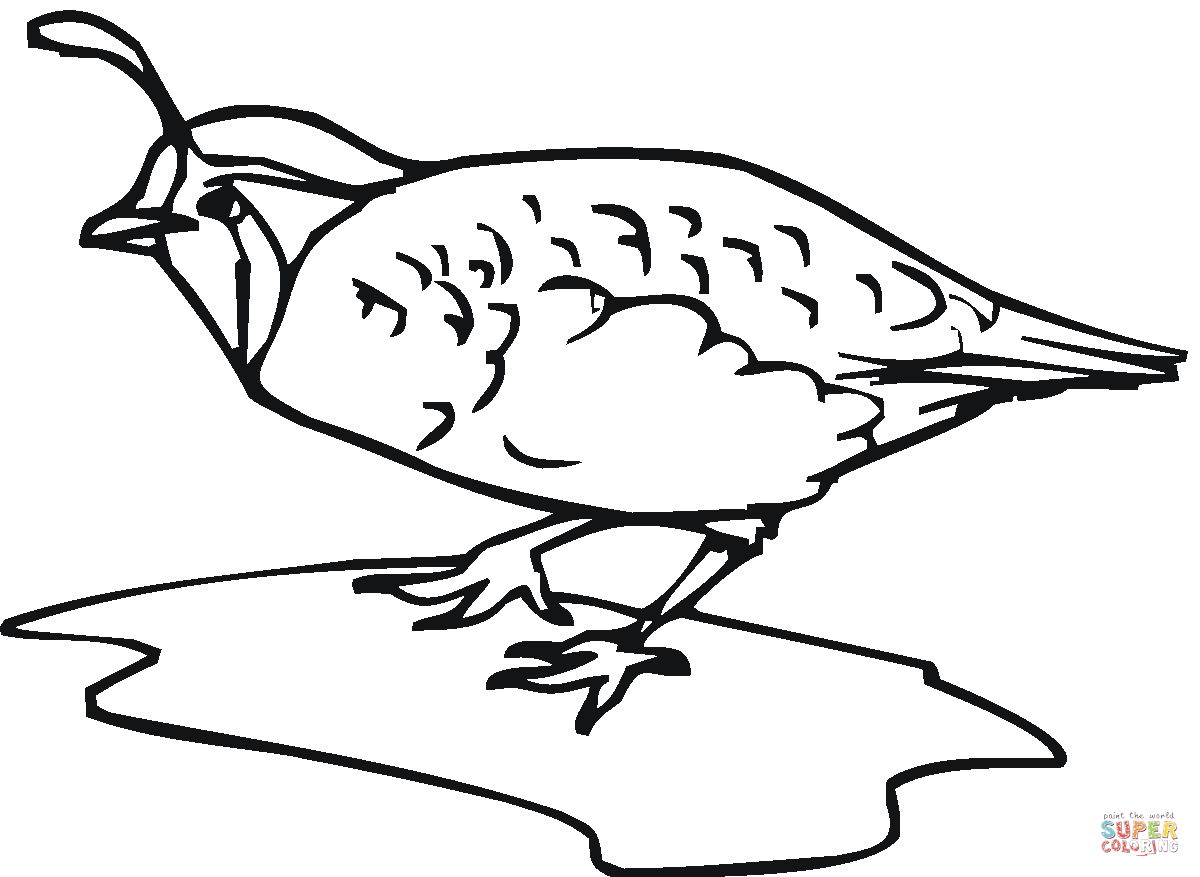 Quails coloring pages | Free Coloring Pages