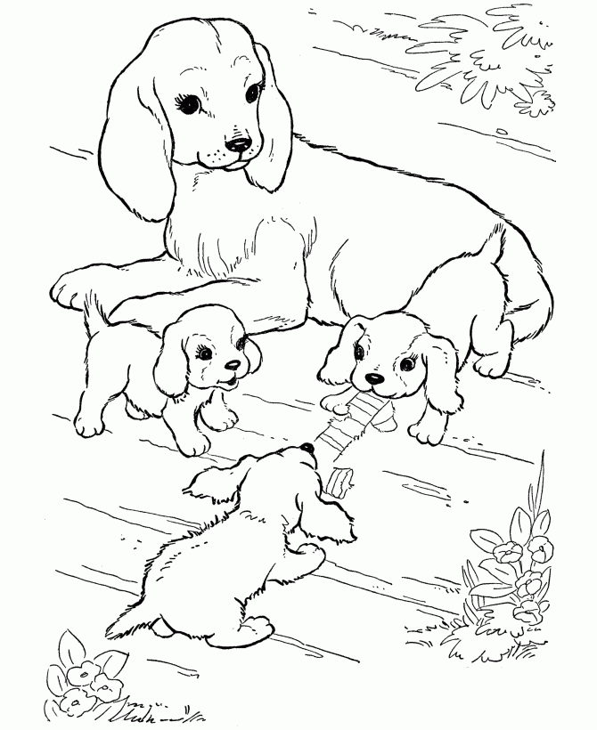 Learning Kitten And Puppy Colouring Pages, Printables Puppies And ...