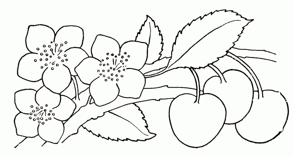 Writing Coloring Pages Flowers Butterflies Az Coloring Pages ...