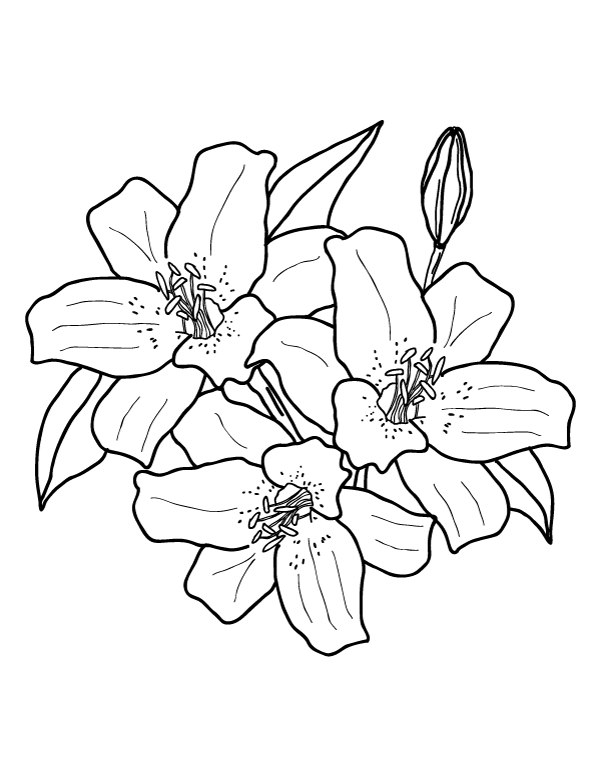 Printable Lily Coloring Page