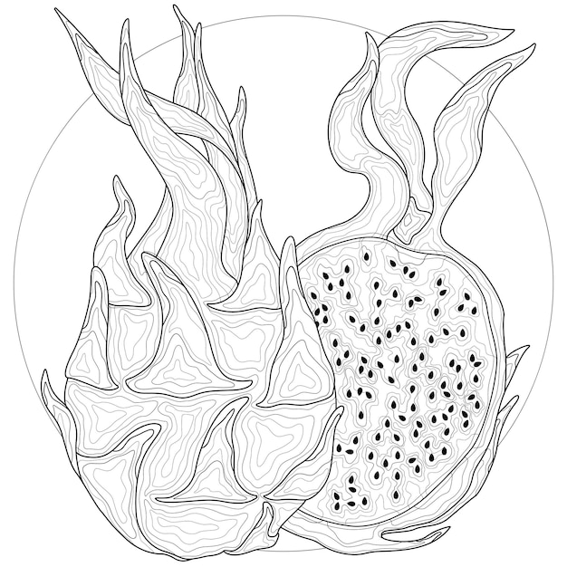 Dragon fruit.coloring book antistress ...