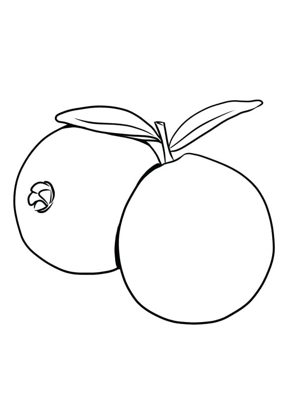 Coloring Pages | Guava Coloring Page for kids