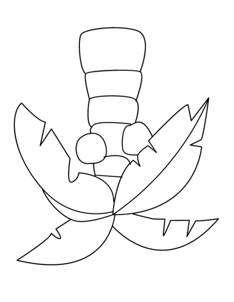 Palm Tree Coloring – Coloring Pages