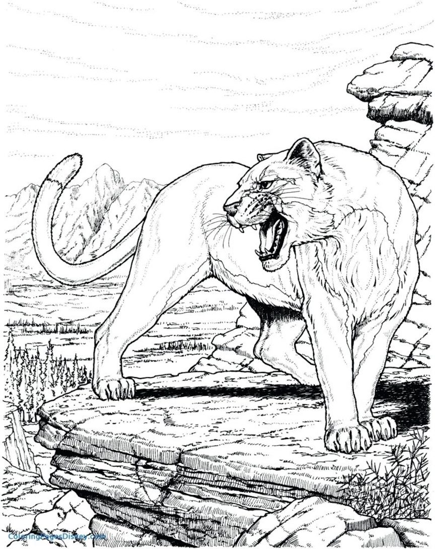 Lion Coloring Pages, Clipart, And Other Free Printable Design Themes