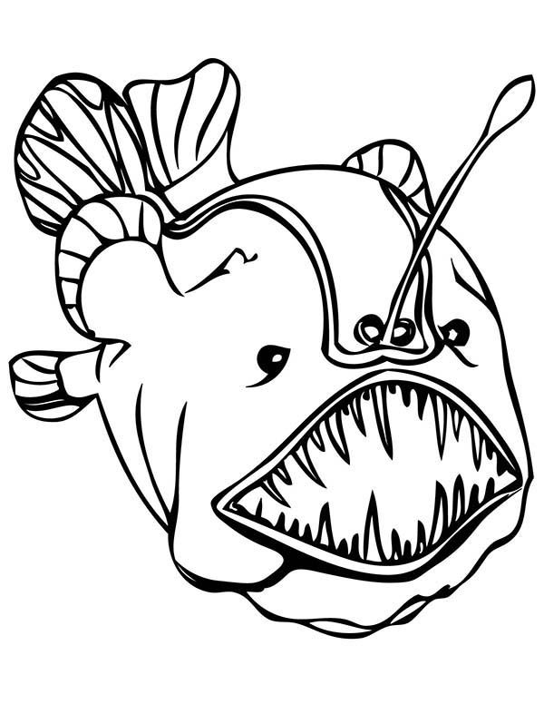 Deep Sea Creatures Coloring Pages | coloring Pages | Pinterest ... -  ClipArt Best - ClipArt Best