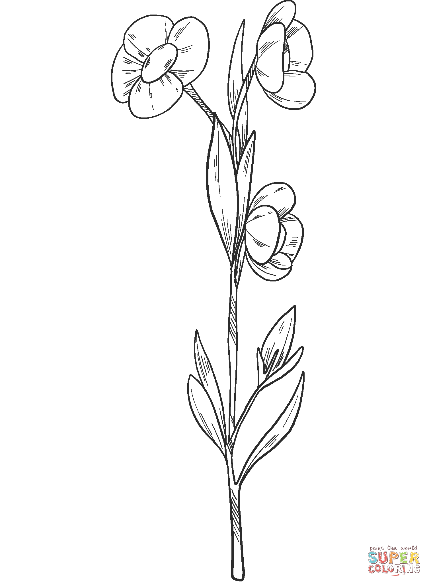 Wildflowers coloring page | Free Printable Coloring Pages
