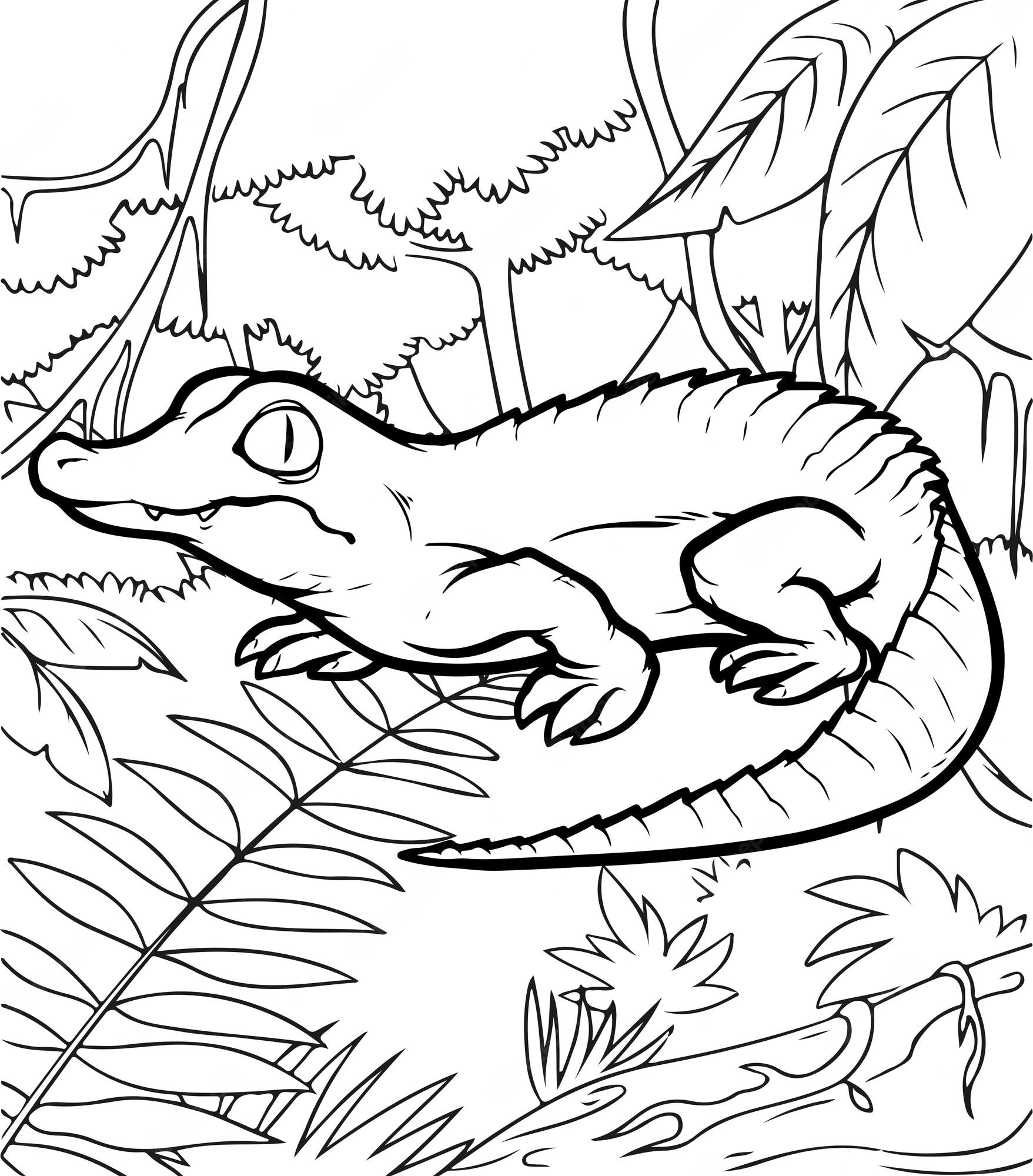 Premium Vector | Cute baby crocodile coloring pages for kids