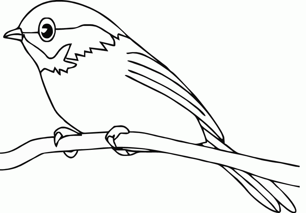 New Color Pages Of Birds Az Coloring Pages, Creative Bird Coloring ...