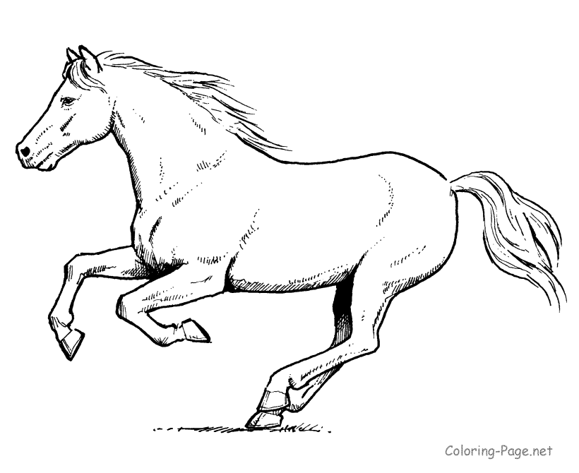 Horse Coloring Page - Running horse | Horse coloring pages, Horse ...