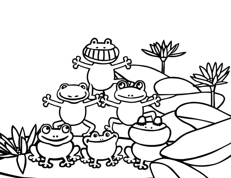 Free Printable Frog Coloring Sheets - Coloring Page