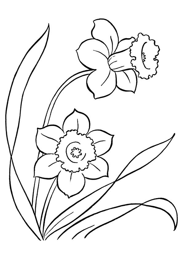 Parentune - Free Printable Lily Coloring Pages, Lily Coloring Pictures for  Preschoolers, Kids