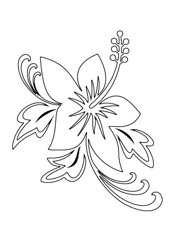 hibiscus flower hawaii state flower coloring page - Clip Art Library
