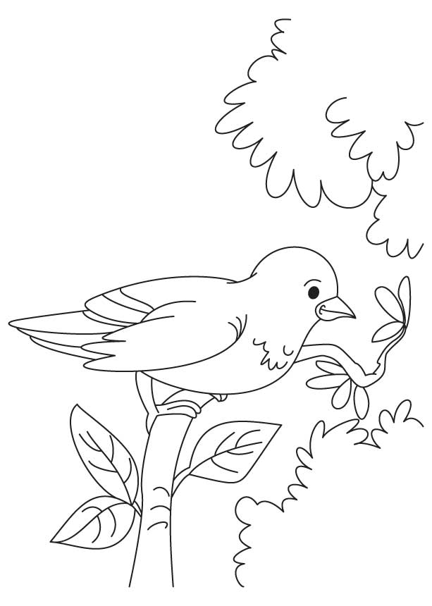 Little sparrow coloring page | Download Free Little sparrow ...