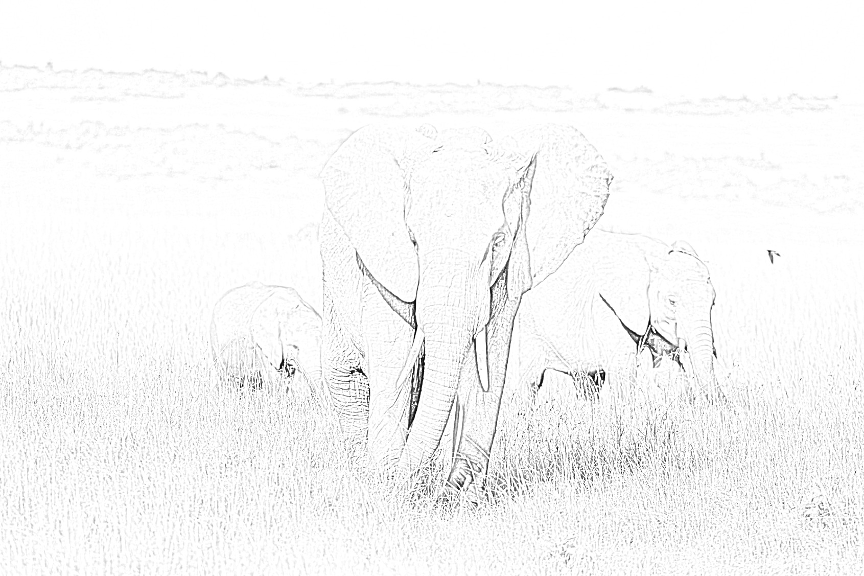 Elephants in savanna coloring page - Mimi Panda