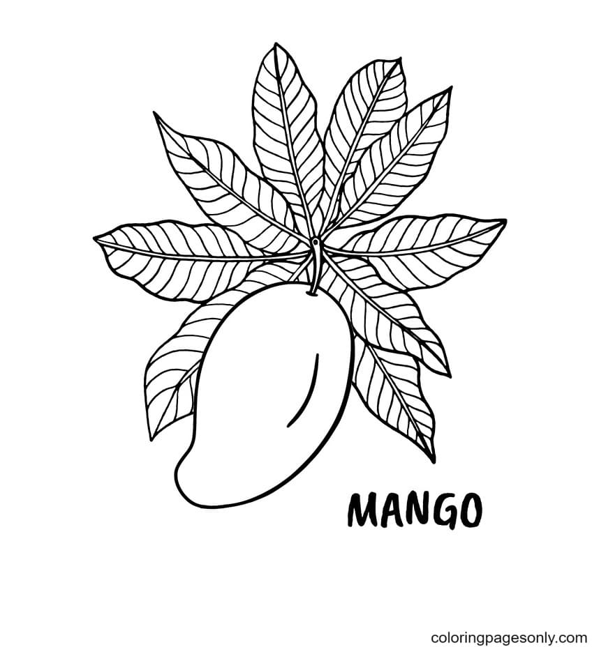 Mango Fruits Coloring Pages - Tropical Fruits Coloring Pages - Coloring  Pages For Kids And Adults