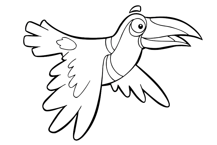 A fine coloring page of Tucan | Clipart Panda - Free Clipart Images