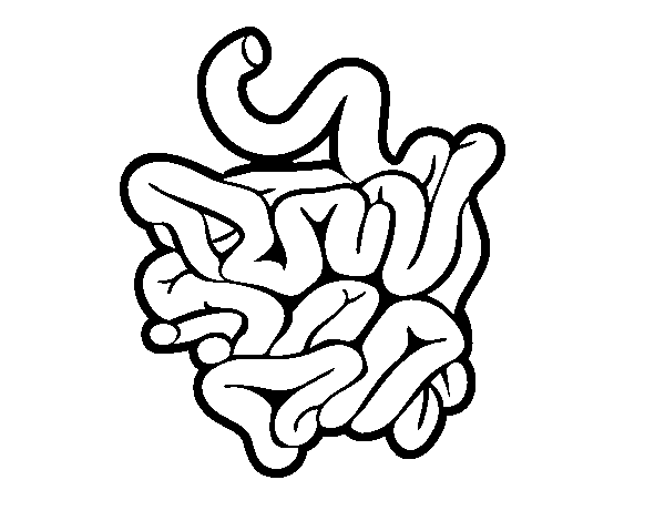 Small intestine coloring page - Coloringcrew.com